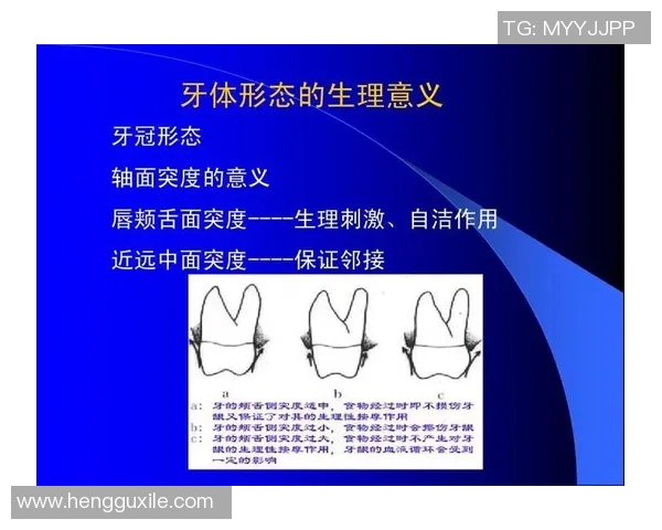 朗牙度足球明星的辉煌历程与影响力探讨